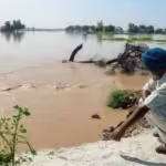An-elderly-person-watches-trees-being-washed-away-_1689136034325
