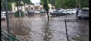 Crime Shoots Up: Athletes’ Hry Grapples With Gangs | Chandigarh News