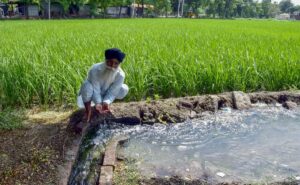 Power Demand in Punjab Crosses 10,000 MW Ahead of Paddy Season