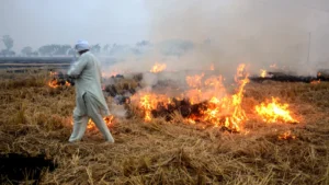 Punjab Unveils ₹500 Crore Action Plan to Eliminate Stubble Burning