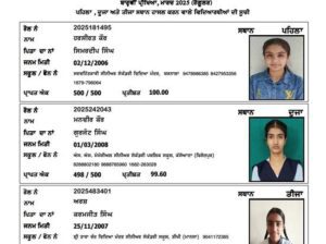 Barnala Girl Tops PSEB Class 12 with Perfect Score