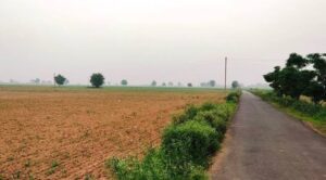 Punjab Transfers 8 Villages from Patiala to Mohali Amid Rising Land Prices