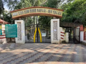 Mini Theatre Set to Open at Bir Talab Zoo, Black Bear Enclosures Await Approval