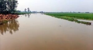 Canal Breaches Expose Flood Preparedness Gaps in Ghaggar Region, Farmers Suffer Heavy Losses