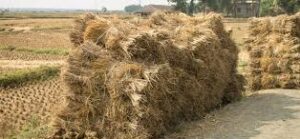 The Police and Administration.