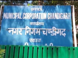 Road and MC Development