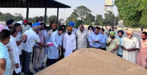 The Punjab Government is committed to buying every single grain of farmers’ crops.