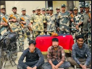 BSF nabs 1 drug trafficker in Amritsar.