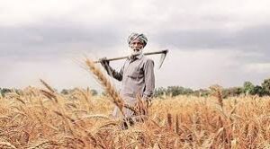 Punjab's agriculture