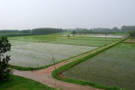 Punjab Monsoon