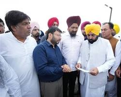 A Year's Salary for Hope.