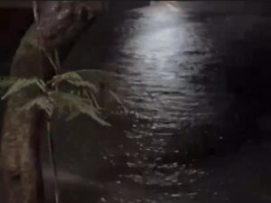 DC Himanshu Aggarwal Issues Order.