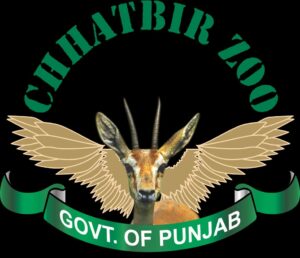 ਜੰਗਲਾਤ ਅਤੇ ਜੰਗਲੀ ਜੀਵ ਸੁਰੱਖਿਆ ਵਿਭਾਗ ਵੱਲੋਂ ਸਰਦੀਆਂ ਦੌਰਾਨ ਛੱਤਬੀੜ ਚਿੜੀਆਘਰ ਵਿੱਚ ਜਾਨਵਰਾਂ ਦੀਆਂ ਖੁਰਾਕ ਸਬੰਧੀ ਜ਼ਰੂਰਤਾਂ ਵੱਲ ਦਿੱਤਾ ਜਾ ਰਿਹੈ ਵਿਸ਼ੇਸ਼ ਧਿਆਨ