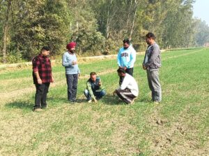 ਮੁੱਖ ਖੇਤੀਬਾੜੀ ਅਫ਼ਸਰ ਵੱਲੋਂ ਪਿੰਡ ਕੋਟੜਾ ਕਲਾਂ, ਭੀਖੀ, ਢੈਪਈ ਤੇ ਜੱਸੜਵਾਲ ਵਿਚ ਕਣਕ ਦੀ ਫ਼ਸਲ ਦਾ ਨਿਰੀਖਣ