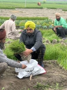 ਸੰਦੋੜ ਦਾ ਕਿਸਾਨ ਤੀਰਥ ਸਿੰਘ ਬਣਿਆ ਫਸਲੀ ਵਿਭਿੰਨਤਾ ਦਾ ਚਾਨਣ ਮੁਨਾਰਾ