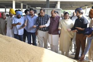 ਕੈਬਨਿਟ ਮੰਤਰੀ ਨੇ ਨਵੀਂ ਦਾਣਾ ਮੰਡੀ ’ਚ ਕਣਕ ਦੀ ਖ਼ਰੀਦ ਕਰਵਾਈ ਸ਼ੁਰੂ, ਕਿਸਾਨਾਂ ਨਾਲ ਕੀਤੀ ਗੱਲਬਾਤ