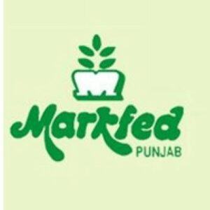 ਮਿਲਕਫੈੱਡ ਪੰਜਾਬ ਵੱਲੋਂ ਦੁੱਧ ਦੀ ਖਰੀਦ ਕੀਮਤ ਵਿੱਚ ਵਾਧਾ