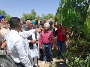 ਕੈਬਨਿਟ ਮੰਤਰੀ ਬਰਿੰਦਰ ਕੁਮਾਰ ਗੋਇਲ ਨੇ ਘੱਗਰ ਦਰਿਆ ਦੇ ਕਿਨਾਰਿਆਂ ਦੀ ਮਜ਼ਬੂਤੀ ਲਈ ਚੱਲ ਰਹੇ ਕਾਰਜਾਂ ਦਾ ਲਿਆ ਜਾਇਜ਼ਾ